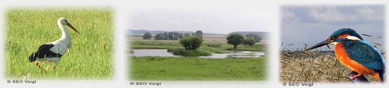 natuurreservaat Mähried Staden